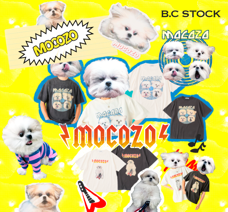 モコゾウ　Tシャツ　B.C STOCK ポメラニアン　シーズー 楽天市場】【WEB+一部店舗限定】モコゾウ ロックTEE2 B.C STOCK