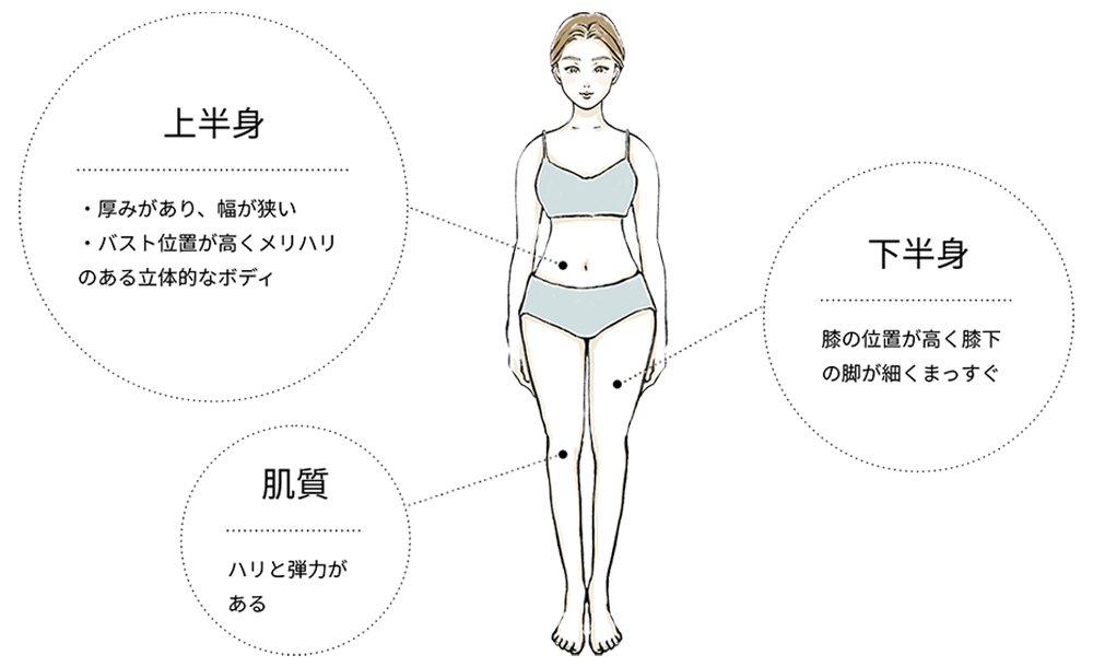 骨格ストレートの特徴