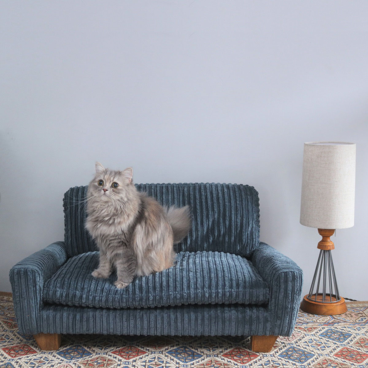 Cat's ISSUE × ACME Furniture あのソファが待望の商品化｜特集 