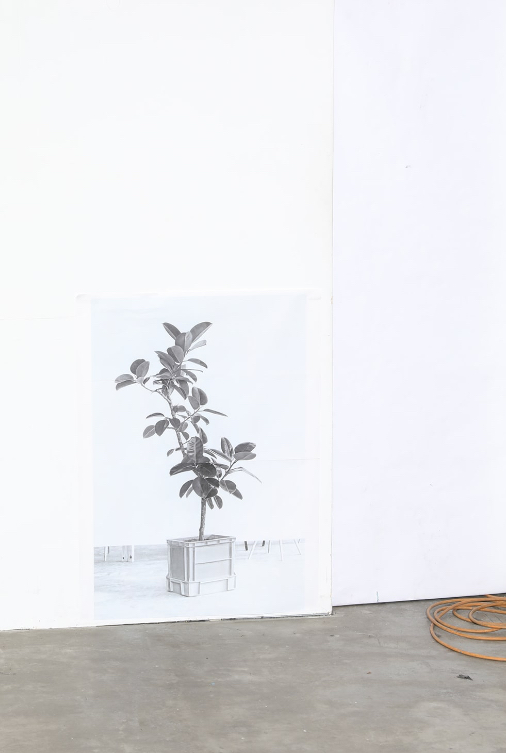 journal standard luxe In her studio