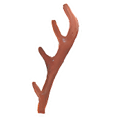 ANTLERS